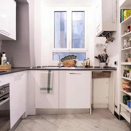 Vegetti #19